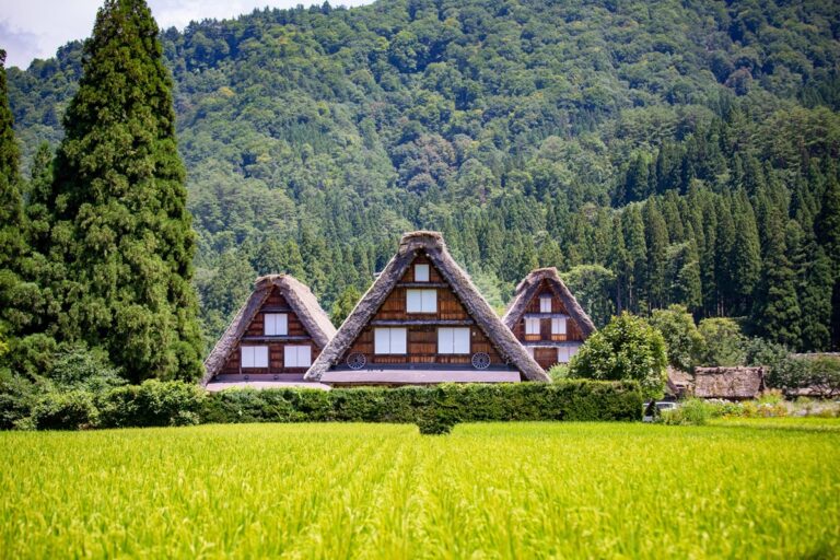 5 experiencias de turismo rural que te reconectan con la vida simple