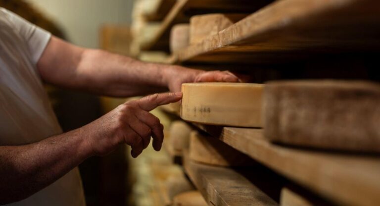 5 destinos donde puedes participar en la fabricación artesanal de queso