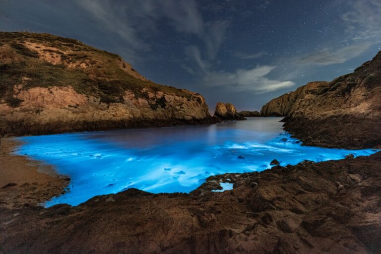 5 lugares donde el mar brilla de noche y cuándo ir para verlo